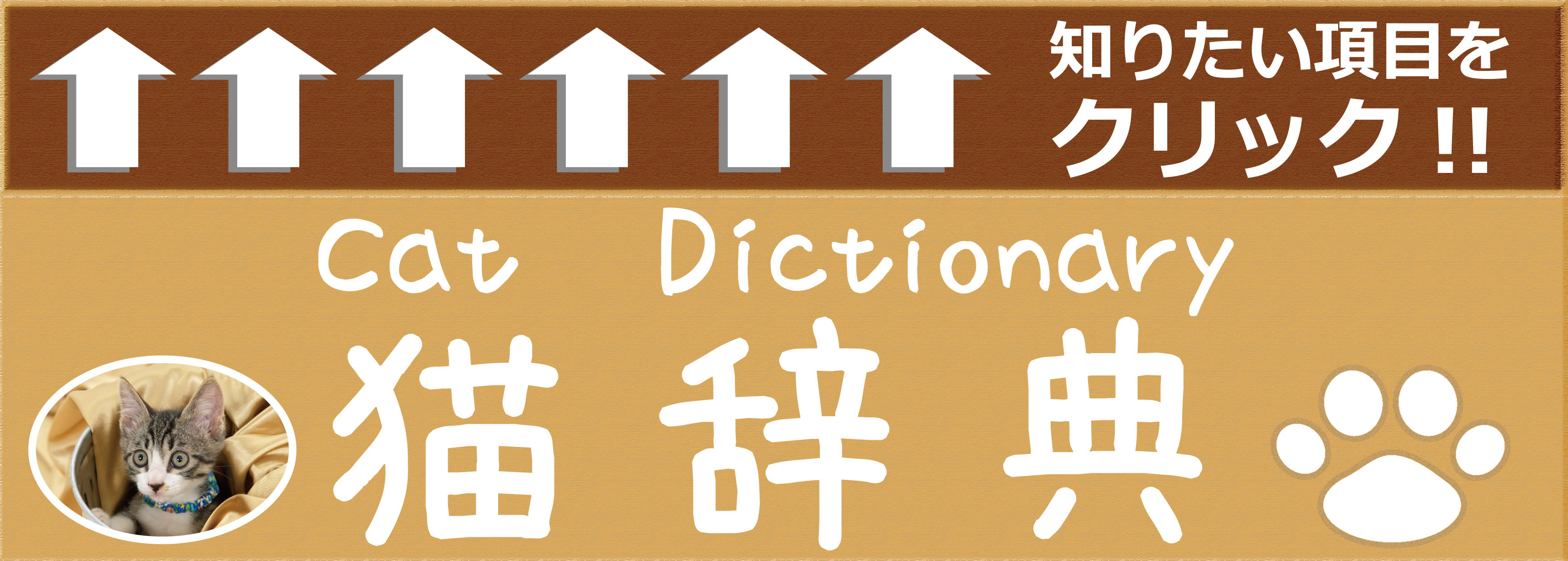 猫辞典 ペット好きの集まるペットコムコム ペットの総合情報ポータルサイト